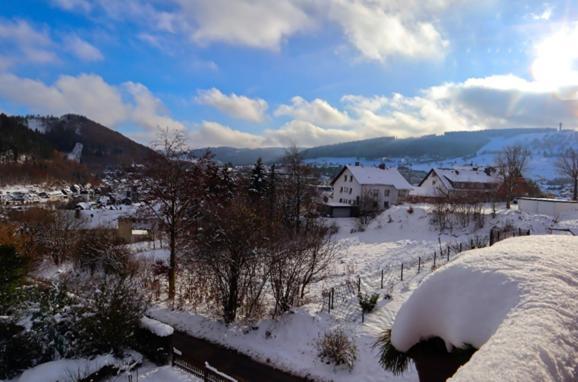 Отель Haus Kieferneck Виллинген Экстерьер фото